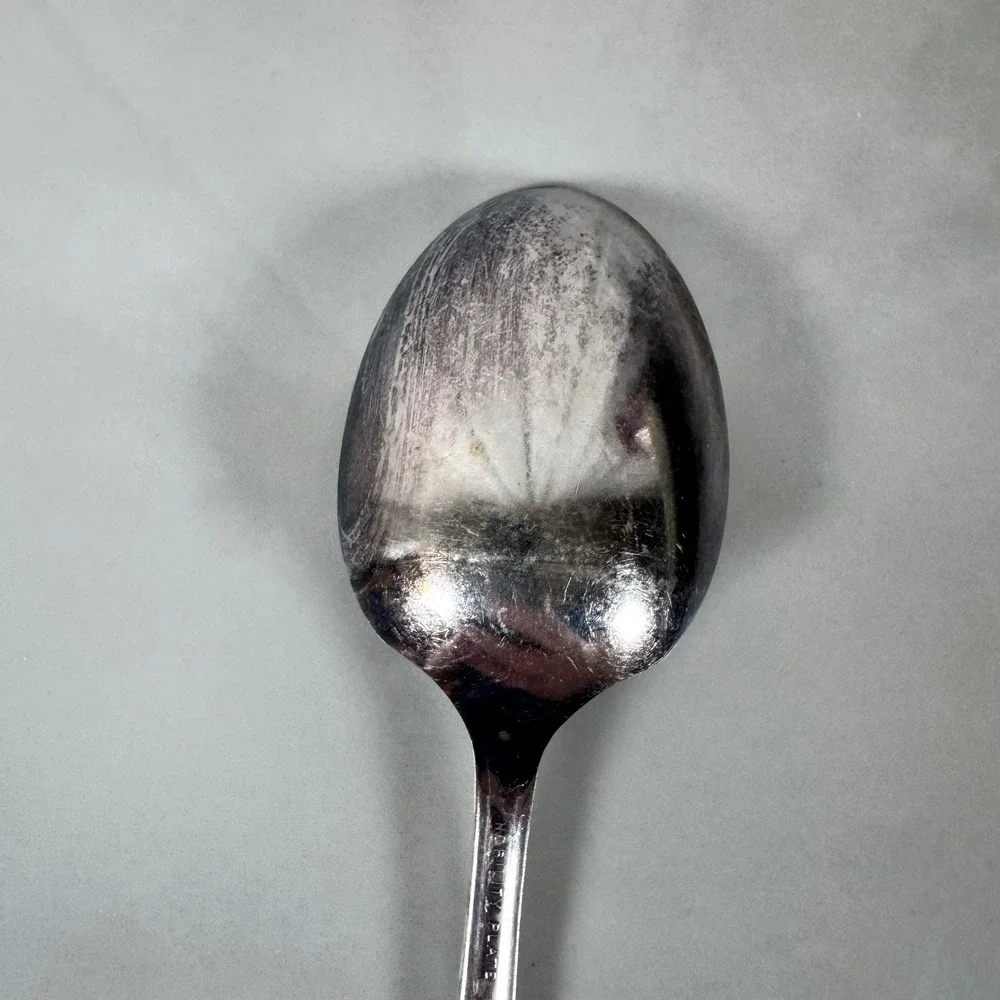 Oneida Nobility Plate‎ Silver Plated Bouillon Soup Spoon Caprice Floral Pattern